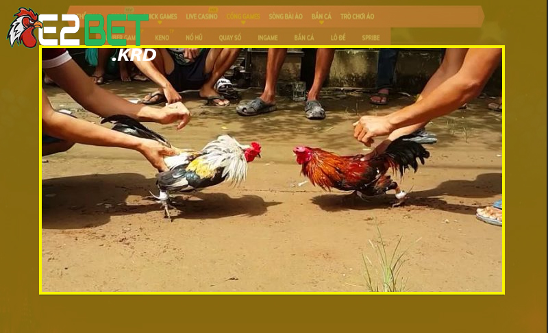 Phương pháp vần gà phổ biến và hiệu quả