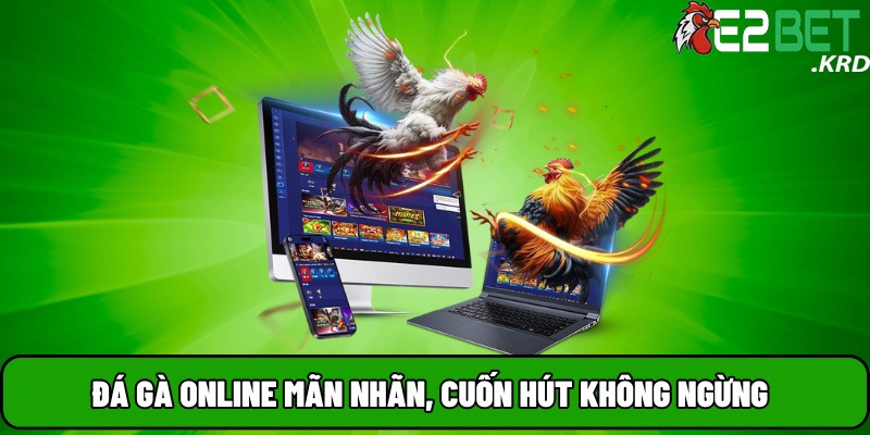 Sảnh đá gà e2bet với nhiều thể loại đá gà hấp dẫn mãn nhãn nhất