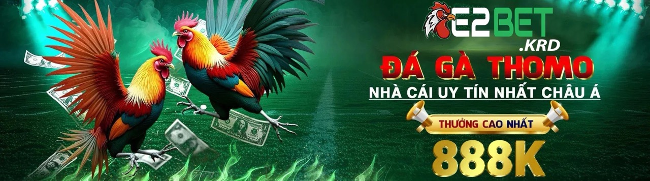 Sảnh đá gà trực tiếp e2bet uy tín xanh chín năm 2025