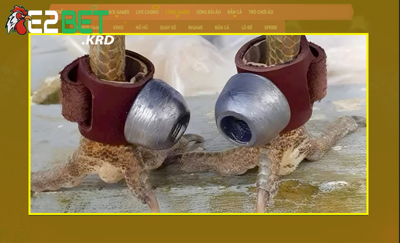 Tận dụng mọi phụ kiện tốt mang lại cơ hội chiến thắng dễ dàng