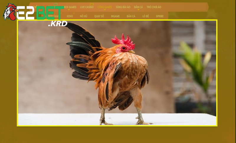 Nắm rõ các kỹ thuật cơ bản giúp an toàn và hiệu quả cao