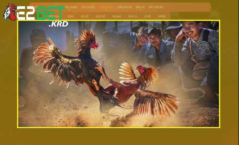 Nắm rõ về luật chơi tại trường gà Thomo