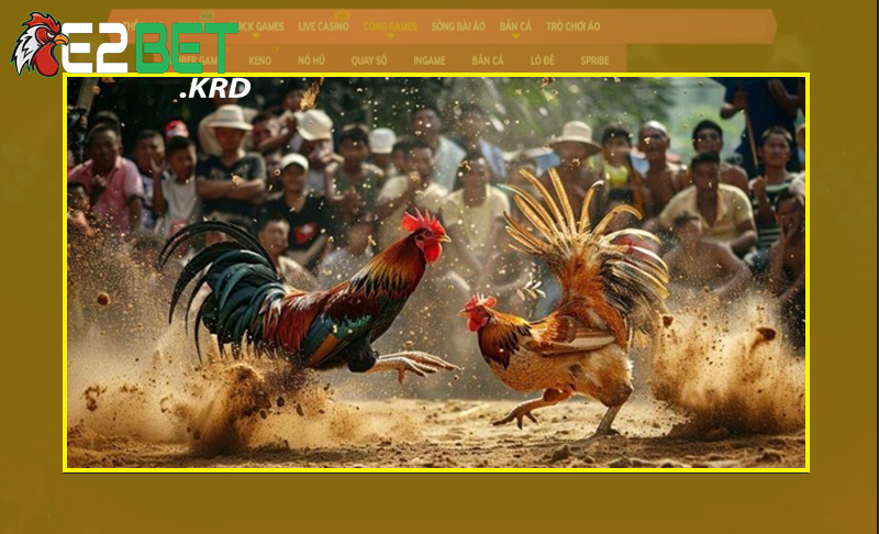 Trải nghiệm nhiều hình thức đá gà phong phú