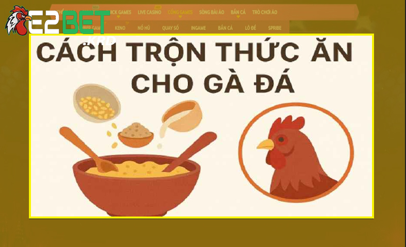 Áp dụng các công thức đá gà theo từng giai đoạn khác nhau