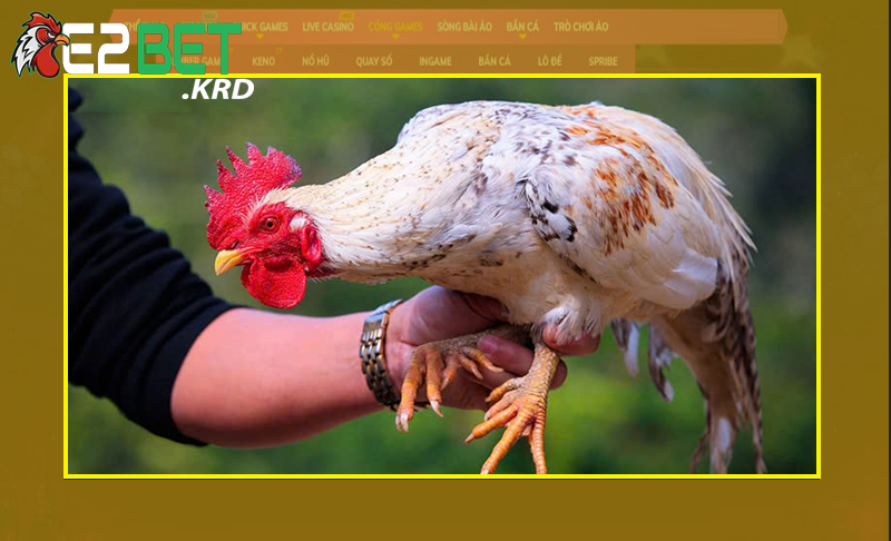 Biết rõ về các nguyên nhân sẽ đưa ra hướng khắc phục tốt nhất