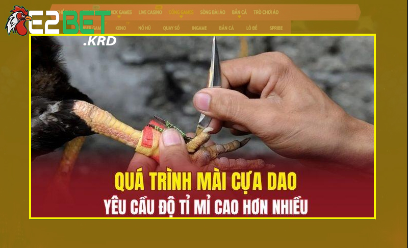 Các bước tiến hành mài cựa gà dễ dàng