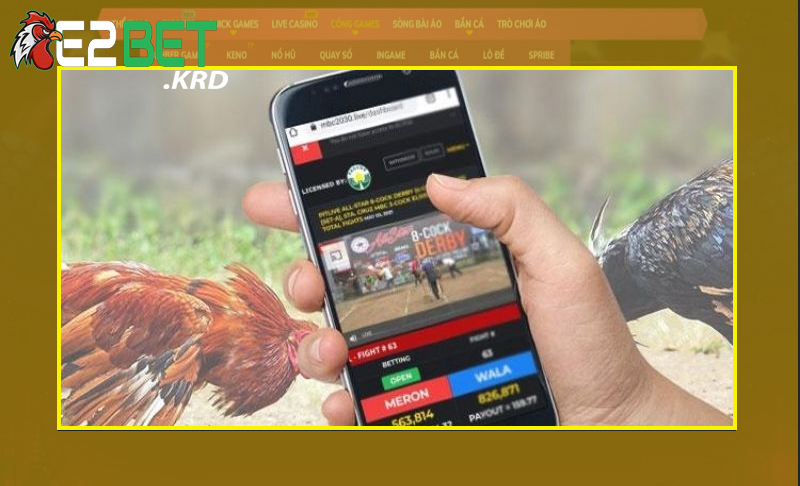 Chọn gà chọi nhờ vào đặt cược trên màn hình